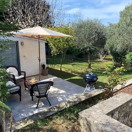 Casa Indi וולי לוסיניי